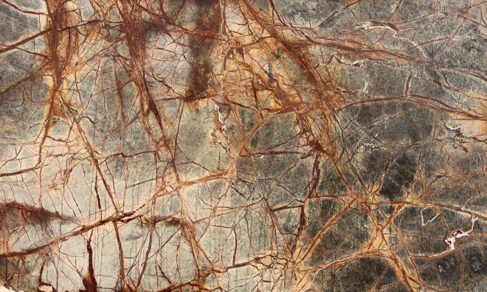 Forest Brown
