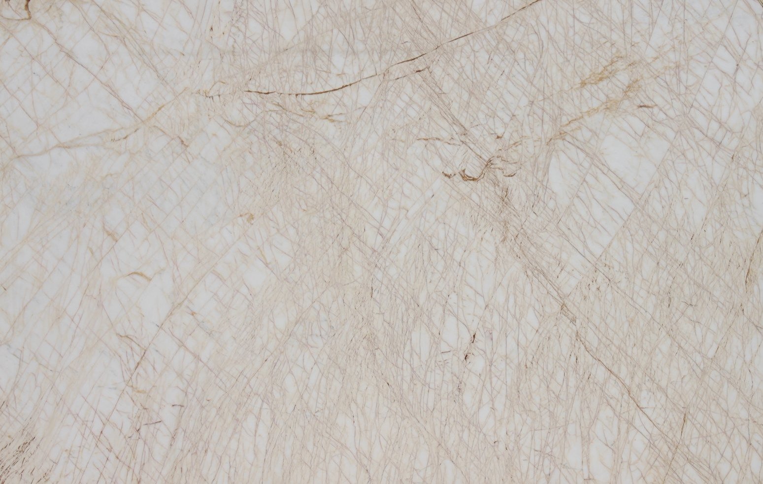 Golden Spider