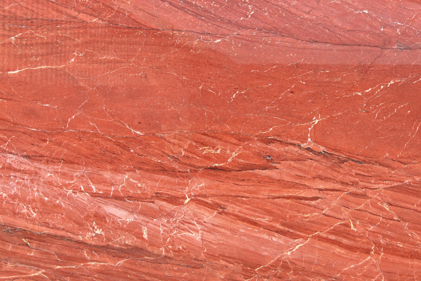 Aurellio Red