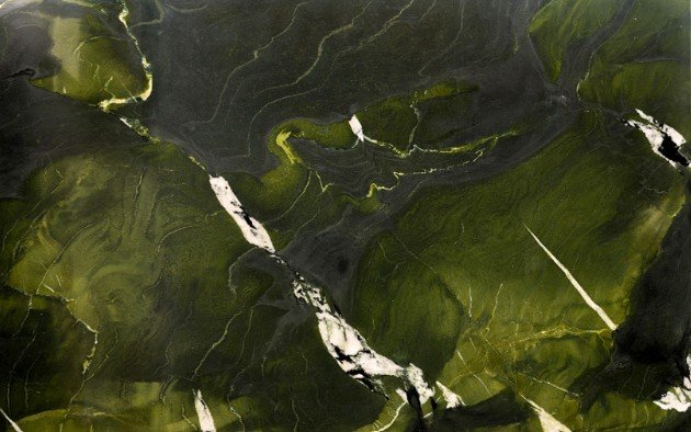 Avocado Quartzite