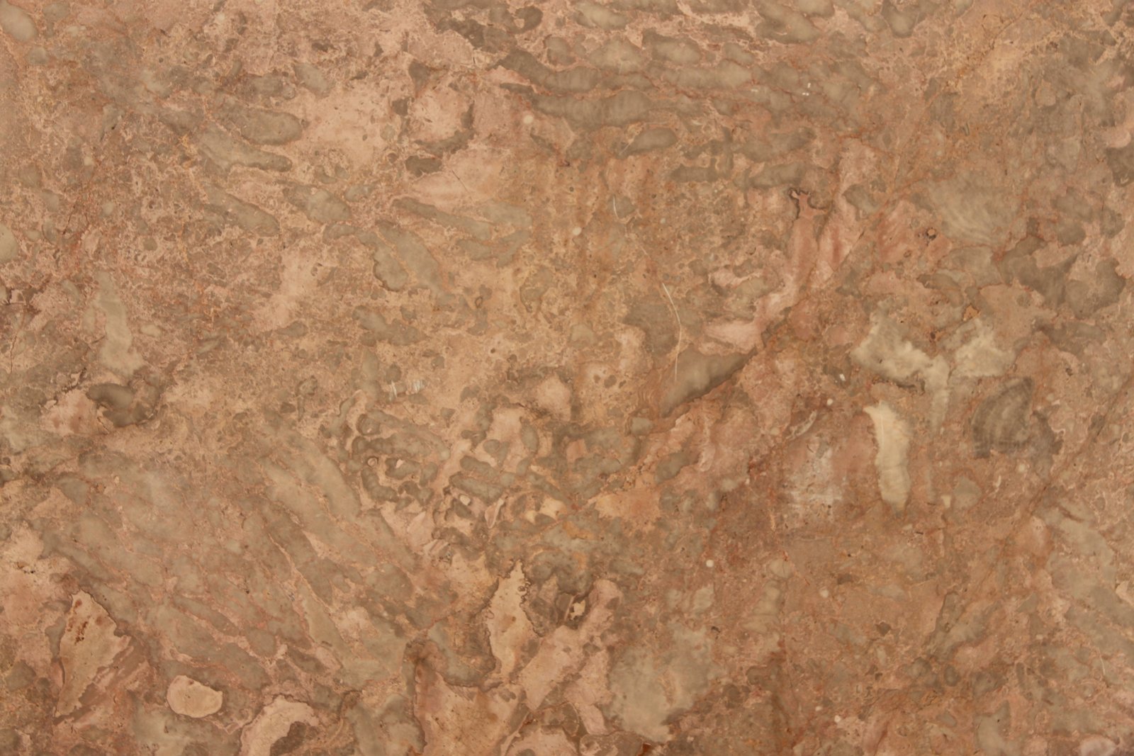 Breccia Tavera