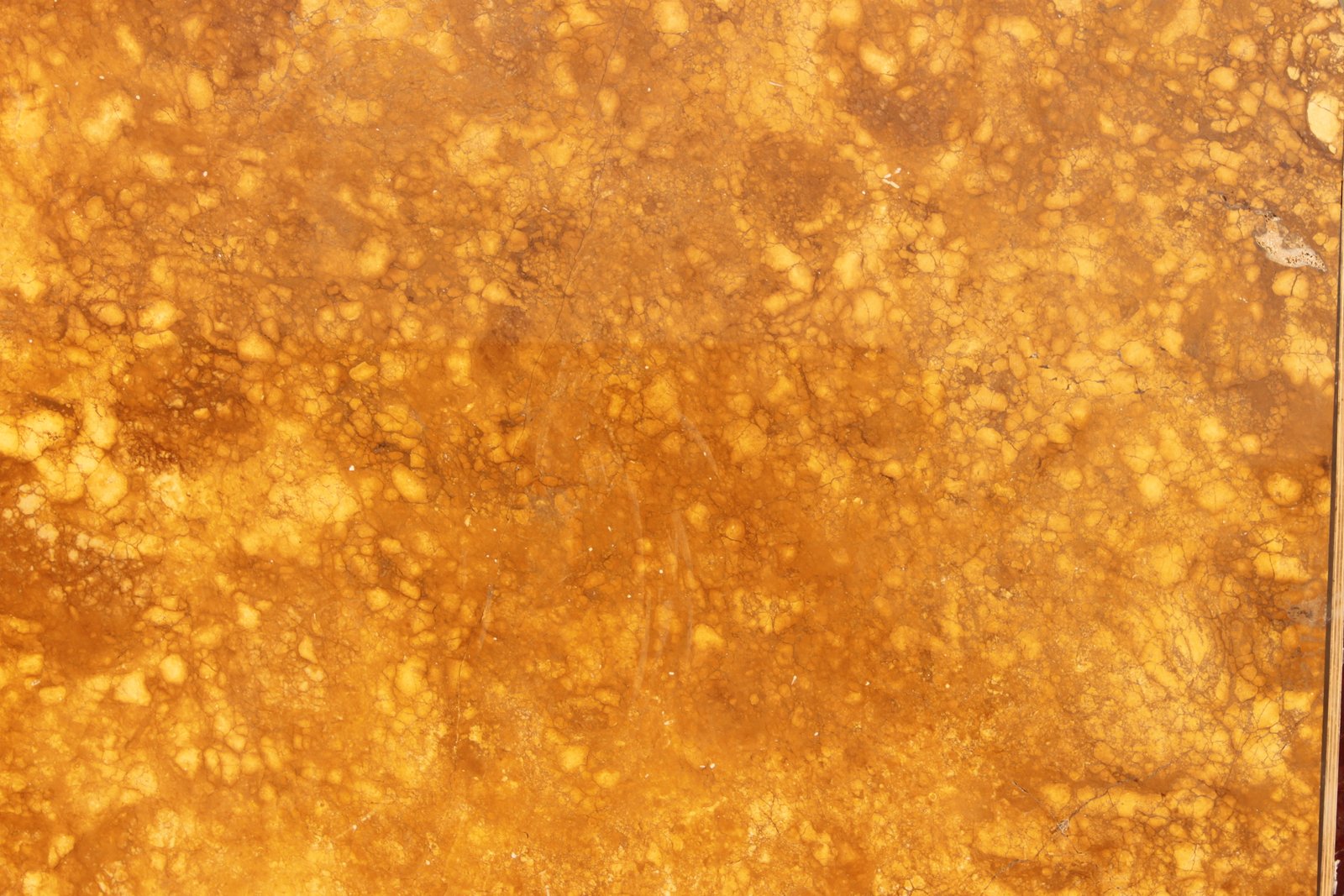 Crema Oro Dark