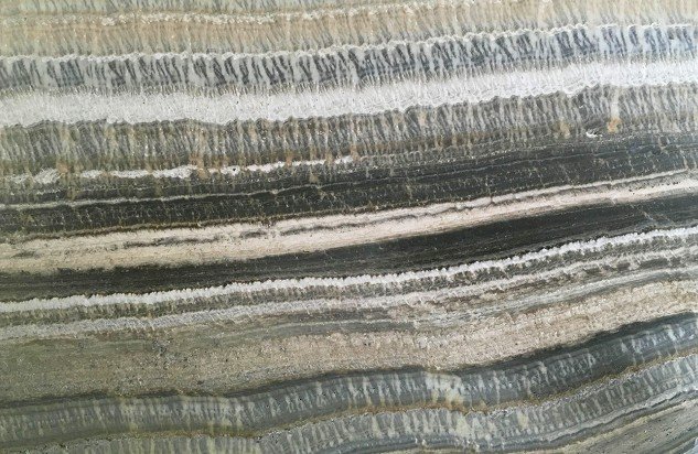 Velluto Onyx